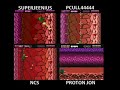 warning: nasty language abounds. this is just some random thing that i did with protonjonsa, superjeenius and pcull44444 a while back. we decided to race each other at battletoads, a completely awesome game that i never played past stage 3 before and have been kickin' myself ever since! the other participants are: www.youtube.com www.youtube.com www.youtube.com