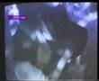 נושאי המגבעת - לייב אין בית שמש