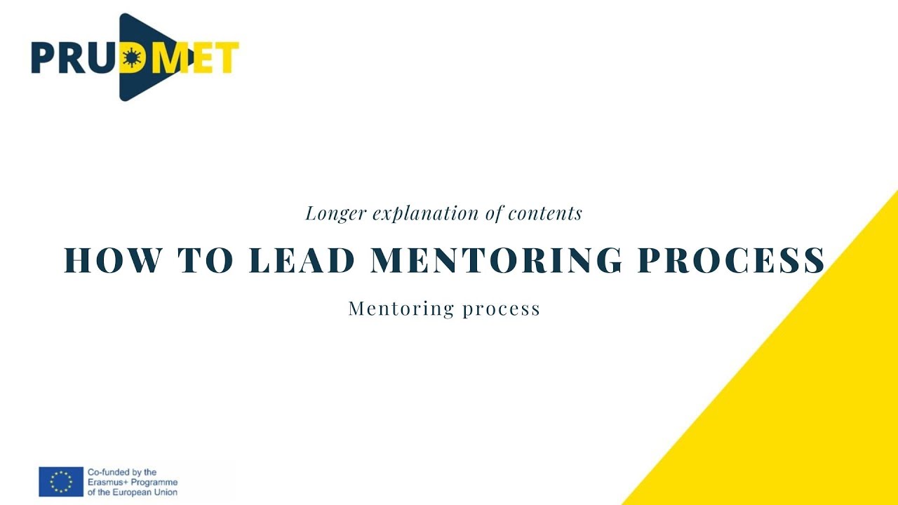The PRUDMET mentoring process