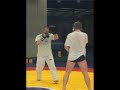 silesian cage club silesian cage club