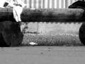 Flo Buchmann 5-0 Grind