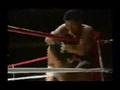 Rickson Gracie