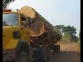 Les porteurs de bois de Centrafrique