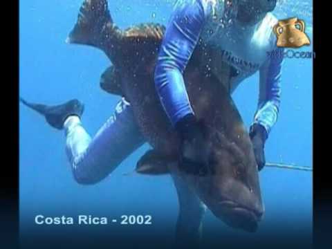 Imagen de previsualización de YouTube