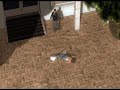 Mission 11