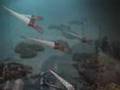 Ordovician Sea Life Diorama at Cincinnati Museum Center