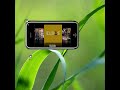 Adobe AIR iPhone