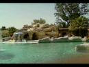 Mon tit paradis Mon tit paradis