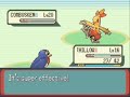 Pokemon Emerald Journey Pt. 7