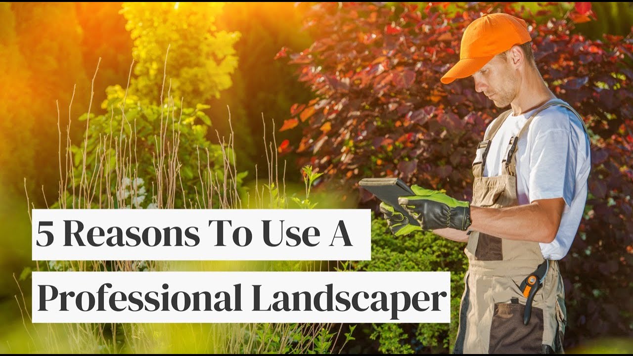 Why You Should Use A Professional Landscaper