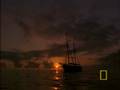 Crittercam: Sperm Whale