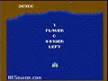 www.nesguide.com
