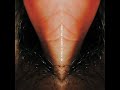 venetian snares - aaperture