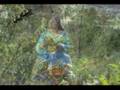 videos de MARICRUZ TEJADA - HAS HERIDO A MI CORAZON