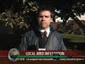 reporter gets shit on by bird - LIVE !!