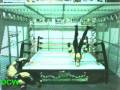 DCW Gold rush tournment - Undertaker vs triple H for DCW Championship ( hell in a cell match ) !!!