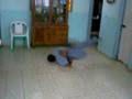 videos de windmill
