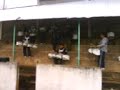 ZACATLAN BANDA DE MUSICA FEDERAL 2009