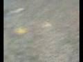 deobus ontploft