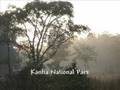 India---the-best-of