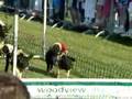 Ballykelly Pig Race