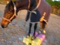 videos de 0 144