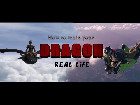 how to train your dragon toys nz