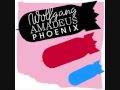 Phoenix - Lisztomania (Alex Metric Remix)