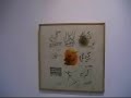 SABA HASAN - ART EXHIBITION AT ALLIANCE FRANCIASE