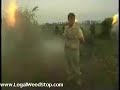 News Reporter high, reporting on burning weed