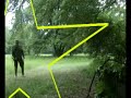 Puszcza Bia?owieska Puszcza Bia?owieska