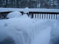 Snow in MA 2