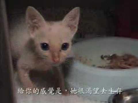 See video