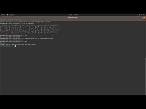 動画