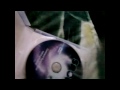 Click here to watch this video spore