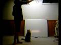 videos de The Extreme Jumper Kitty