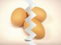 Eggs!