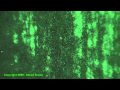 Night Of The ufos PT.1 November 7th 2009 Filmer/Contributer/Friend Alison Kruse