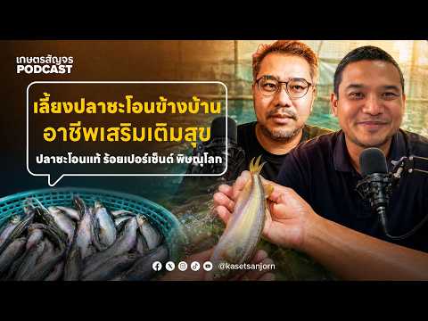 เปลี่ยนโรงรถข้างบ้านให้กลายเป็นแหล่งสร้างรายได้เสริม! เลี้ยงปลาชะโอน | เกษตรสัญจร Podcast