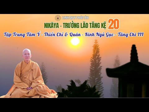 NIKAYA Trưởng Lão Tăng Kệ 20 - Tập Trung Tâm Ý- Thiền Chỉ & Quán - Kinh Ngủ Gục - Tăng Chi III
