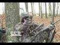 Coyote-14-yards