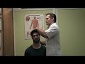 Chiropractic Chiropractic