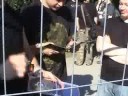 Seith signature session