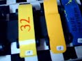 Pinewood Derby Cars 2007
