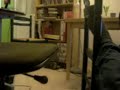 Un chat assez con