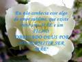O maravilhoso dom de ser M�E!