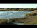 Paviken Gotland