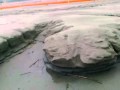 BP nasconde il petrolio sotto la... Guarda video