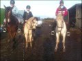 videos de Candice Maloe & LIL Polly