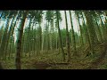 lac blanc bike park 2007